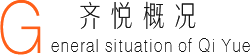 齐悦概况